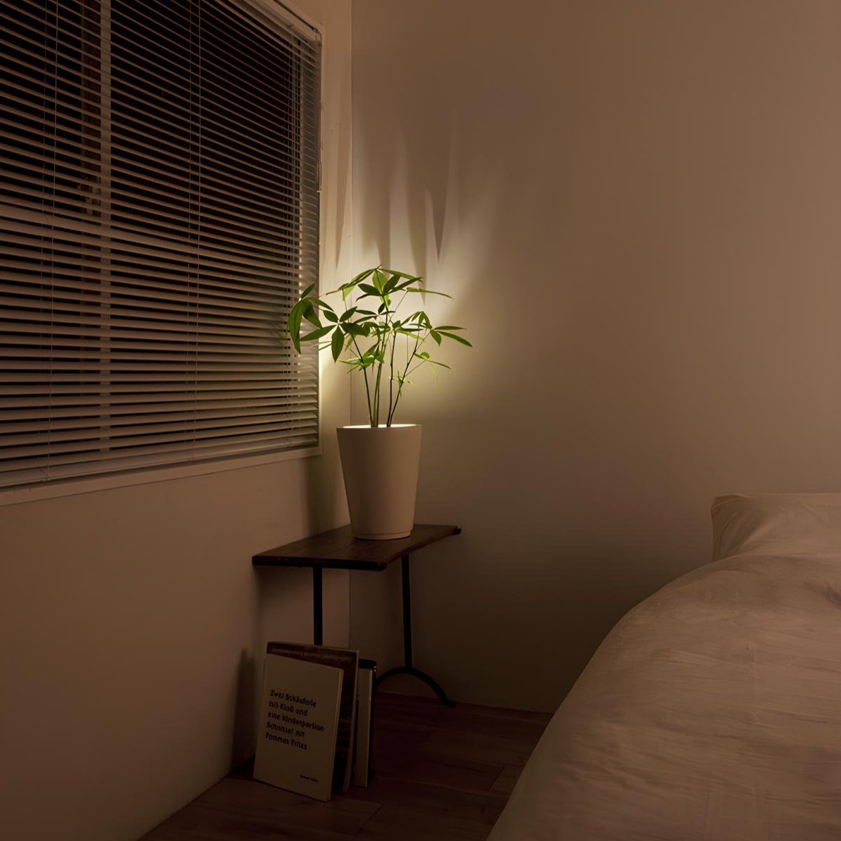 Rechargeable Wall Light 'EasyLight' - Cordless Light with Remote Control, 360 Degree Rotation, 3 Brightness Levels, Timer & USB Charging